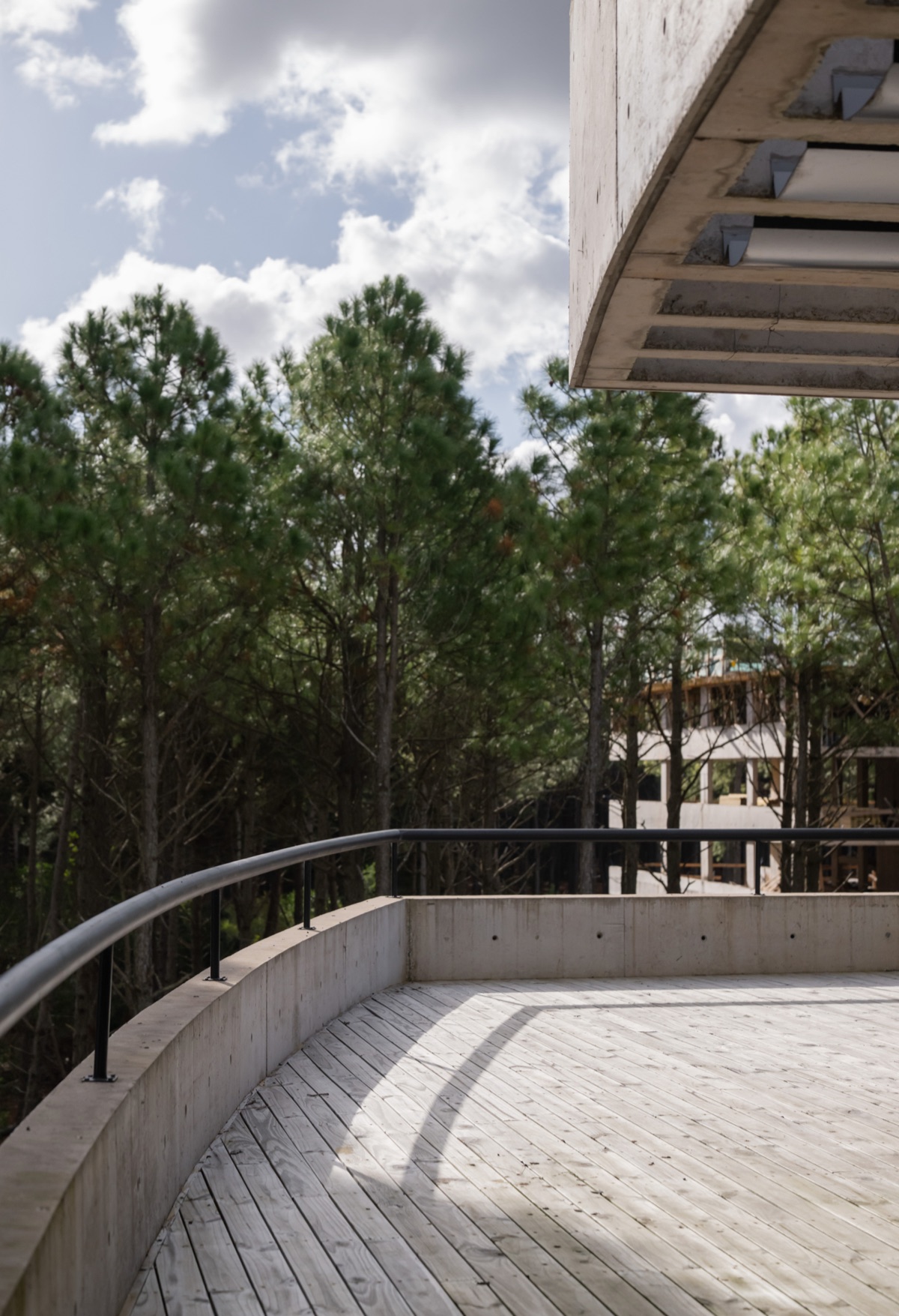 Constructora del Mar — deck entre pinos