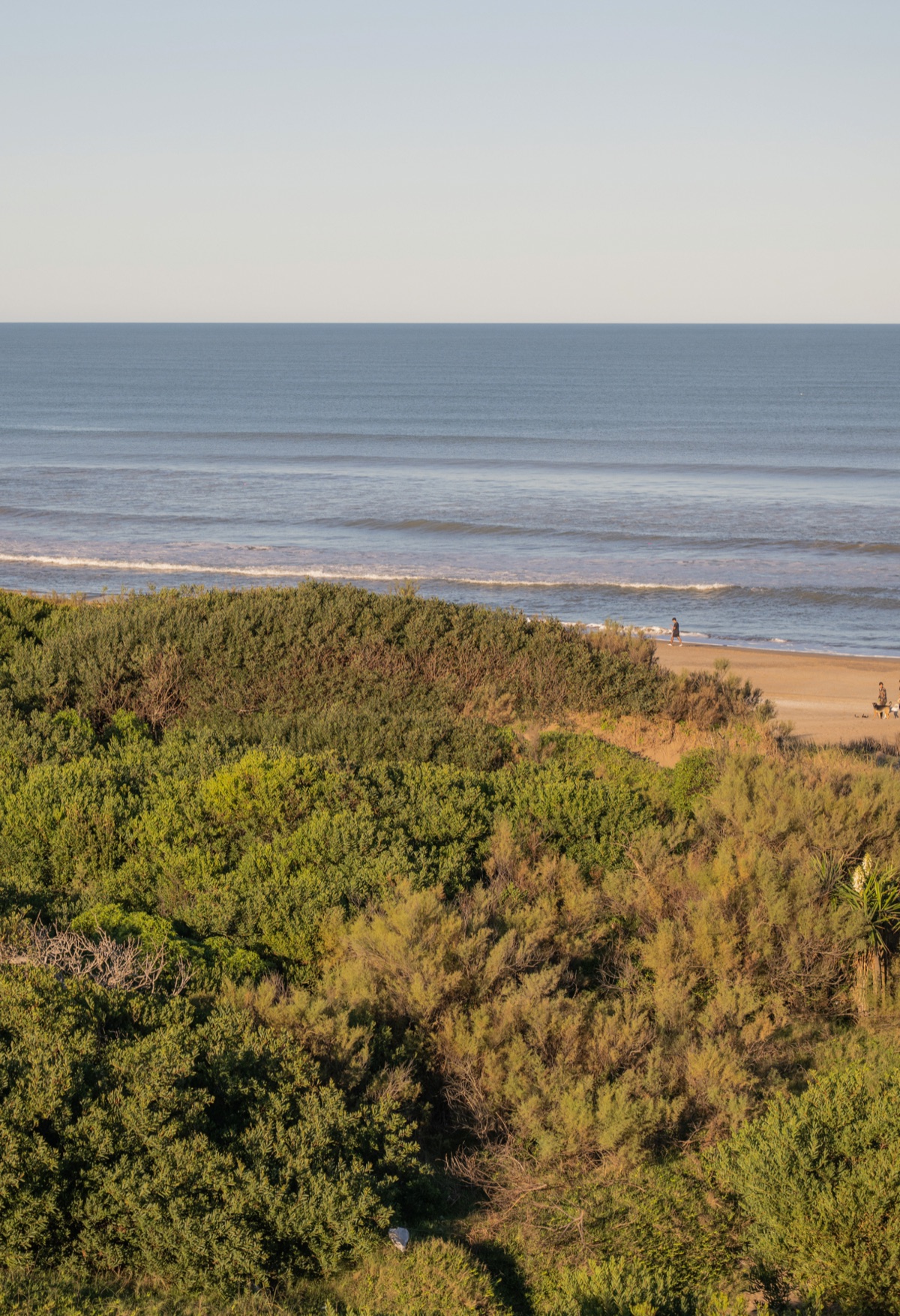 Constructora del Mar — vista aérea del bosque y el mar